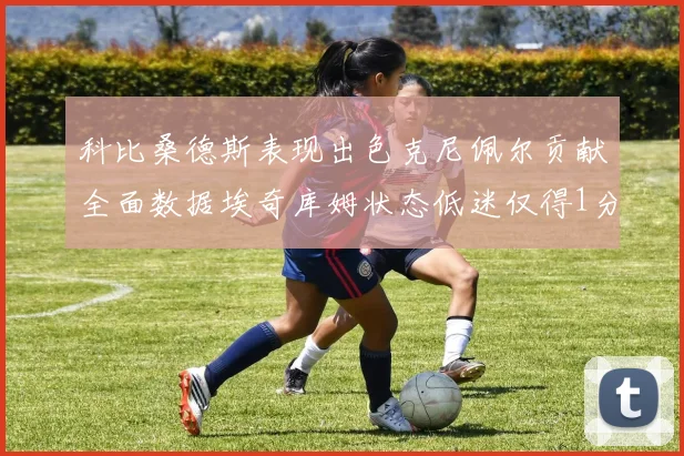 科比桑德斯表现出色克尼佩尔贡献全面数据埃奇库姆状态低迷仅得1分