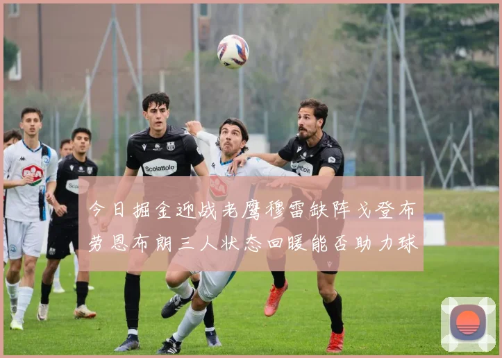 今日掘金迎战老鹰穆雷缺阵戈登布劳恩布朗三人状态回暖能否助力球队取胜